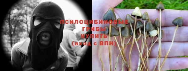 дживик Алексин