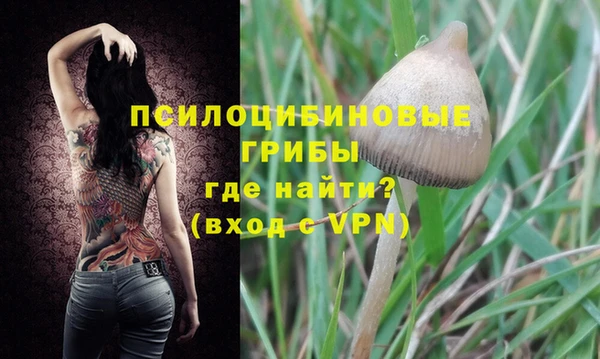 дживик Алексин