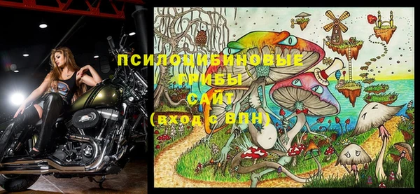 Альфа ПВП Алексеевка